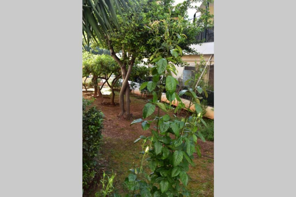 אתונה Tropicana מראה חיצוני תמונה